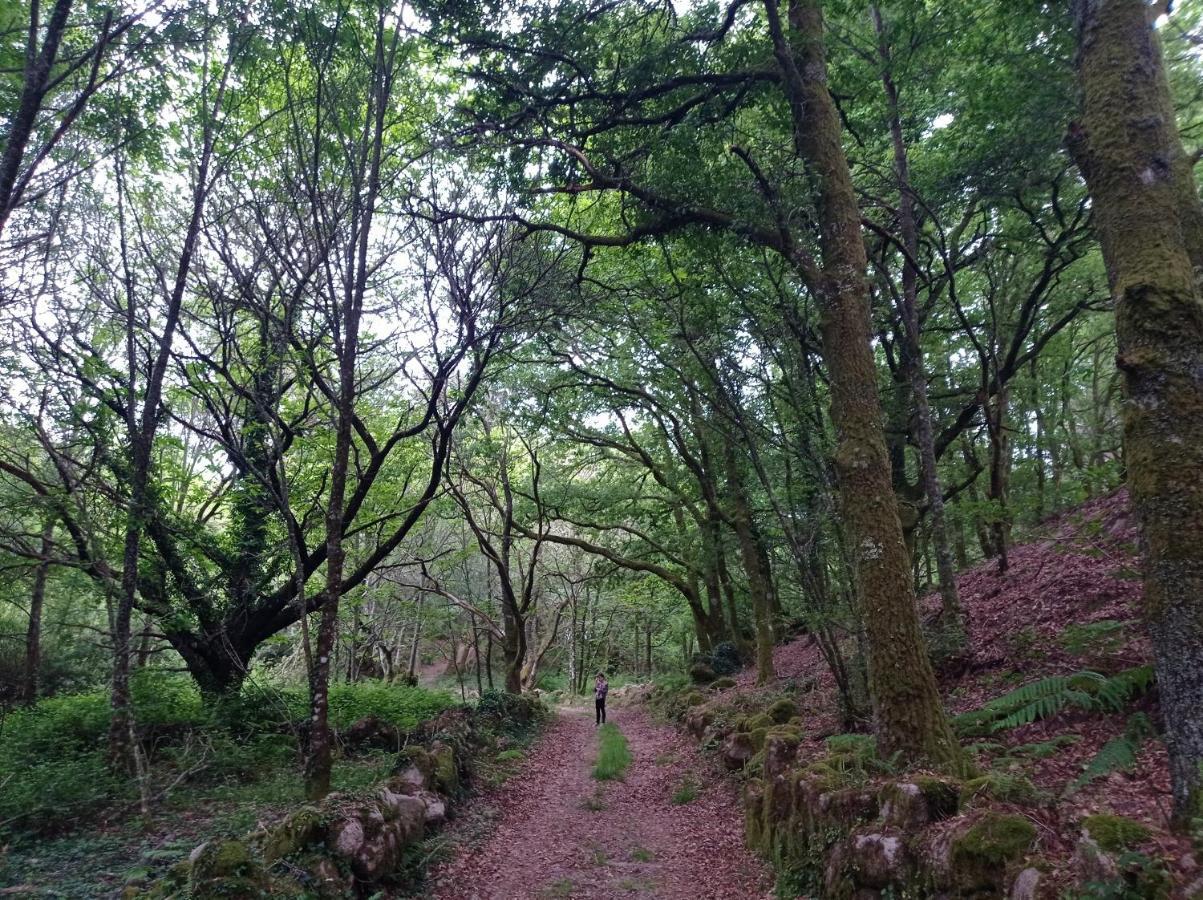 Hébergement de vacances O Noso Lar - Ribeira Sacra